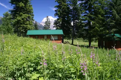 a cabin in the mountains with a field of flowers at Mount Robson Lodge in Mount Robson