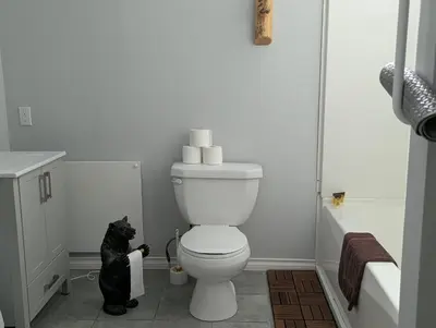 a black cat standing in a bathroom with a toilet at Twin Peaks Resort in Valemount