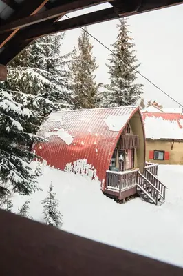a house with a red roof in the snow at Cozy Cabin at RED - Steps to Skiing & Trails in Rossland