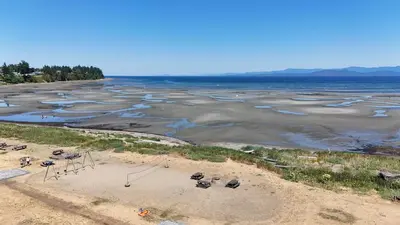 an aerial view of a beach with the water at Sea Edge Beachside Hotel in Parksville