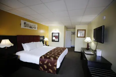 a hotel room with a bed and a flat screen tv at Alpine Inn & Suites in Revelstoke