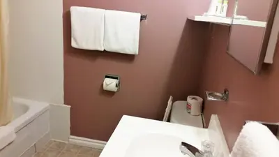 a bathroom with a sink and a toilet and towels at Viking Lamplighter Motel in Viking