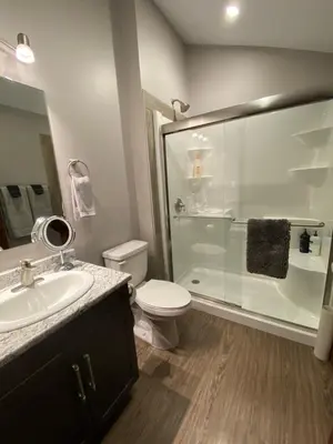 a bathroom with a shower and a toilet and a sink at Wolf Den in Valemount