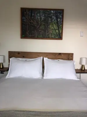 a bed with two pillows and a picture on the wall at Sounds of the Sea in Ucluelet
