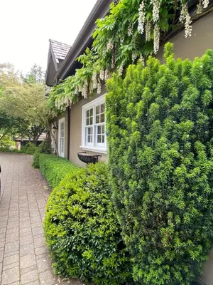 Gallery image of Amante Luxury Bed & Breakfast in Victoria