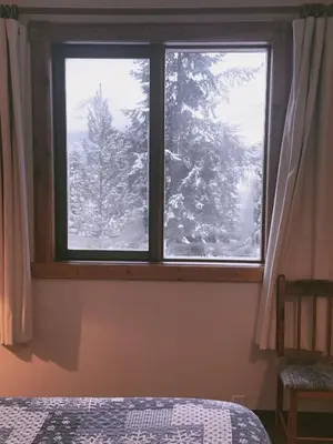 a window in a bedroom with a snow covered tree at Alpine Meadows Lodge in Golden