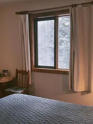 a bedroom with a bed and a window with snow at Alpine Meadows Lodge in Golden