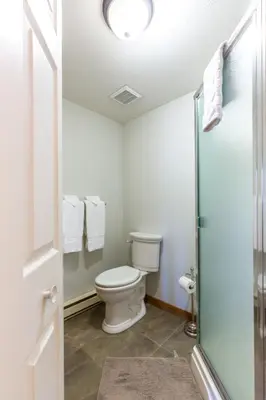 a bathroom with a toilet and a shower at Tranquility Bay Waterfront Inn in Sechelt
