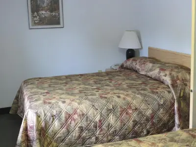 a bedroom with two beds and a lamp at Lazy J Motel in Claresholm
