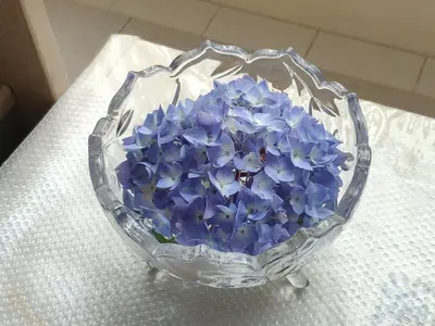 a glass bowl filled with blue flowers on a table at Helen's House / Close to Skytrain and Airport in Vancouver