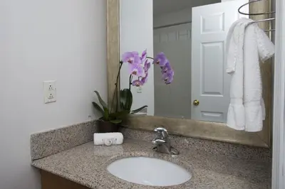 a bathroom with a sink and a mirror and purple flowers at Valley Star Motel in Penticton