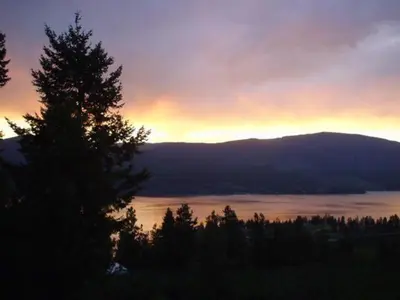 a sunset over a lake with a tree in the foreground at Eagle's Nest B&B in Lake Country