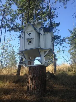a bird house on a tree in the woods at Eagle's Nest B&B in Lake Country