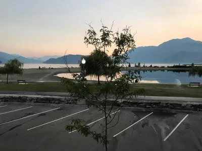 a tree in a parking lot next to a body of water at Spring Villa Hotel in Harrison Hot Springs
