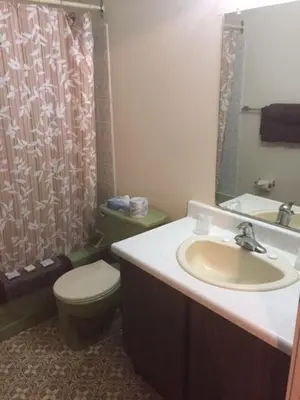 a bathroom with a toilet and a sink and a shower at Spring Villa Hotel in Harrison Hot Springs