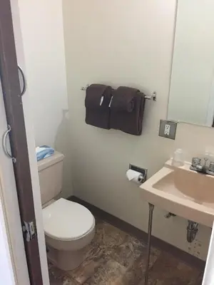 a bathroom with a toilet and a sink at Spring Villa Hotel in Harrison Hot Springs