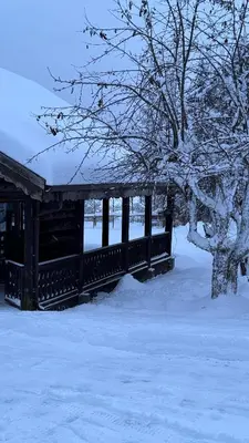 a wooden bridge in the snow next to a tree at Nakiska Bear Ranch in Clearwater