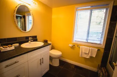 a bathroom with a sink and a mirror and a toilet at Rae Leigh Heights BnB in Saanichton