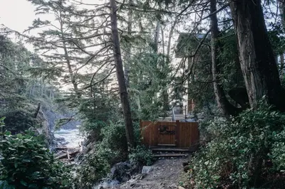 a wooden box in the middle of a forest at Storm Cove Suites in Ucluelet