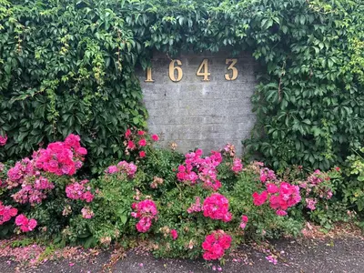 a flower garden with pink flowers in front of a brick wall at Vancouver shaughnessy guest home in Vancouver