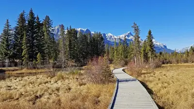 a wooden path through a field with mountains in the background at Downtown Loft, Mountain Views, Fireplace, Couple's Retreat, Walker's Paradise in Canmore