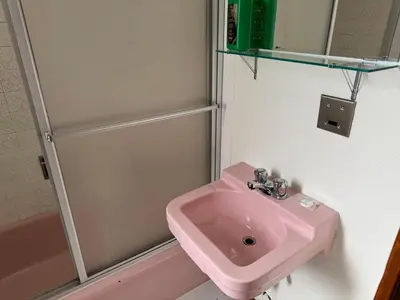 a bathroom with a pink sink and a shower at Rodmay Hotel in Powell River