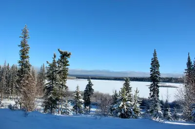 a group of trees in the snow next to a lake at Red Cariboo Apartments in Anahim Lake