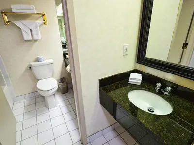 a bathroom with a sink and a toilet at Continental Inn & Suites in Edmonton