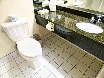 a bathroom with a toilet and a sink at Continental Inn & Suites in Edmonton