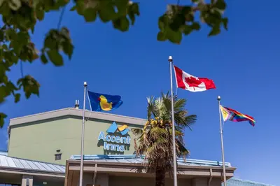 three flags on top of a building with a palm tree at Accent Inns Burnaby in Burnaby