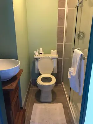 a bathroom with a toilet and a sink at Historic Hotel Bayview in Stewart