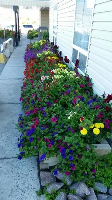 a garden of flowers on the side of a house at Super 8 by Wyndham Yellowknife in Yellowknife
