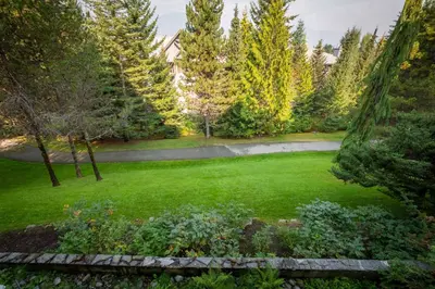 a garden with green grass and trees at Woodrun by Outpost Whistler in Whistler