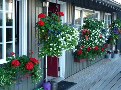 a bunch of flowers in pots on a house at Driftwood by the Sea Inn in Campbell River