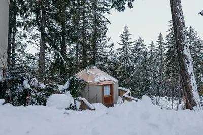 a yurt in the woods in the snow at Riverside Resort in Whistler