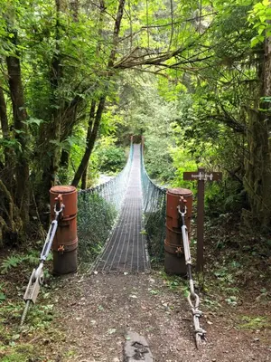 a suspension bridge in the middle of a forest at Port Renfrew Vacation Rentals in Port Renfrew