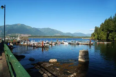 a group of boats docked in a body of water at Port Renfrew Vacation Rentals in Port Renfrew