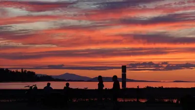 a group of people sitting on a bench watching the sunset at Skylite Motel in Parksville