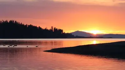 a sunset on a lake with ducks in the water at Skylite Motel in Parksville