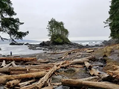 a pile of logs on a beach near the ocean at Newfie Seaside Retreat in Port Renfrew