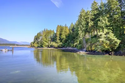 a view of a river with trees on the shore at Newfie Seaside Retreat in Port Renfrew