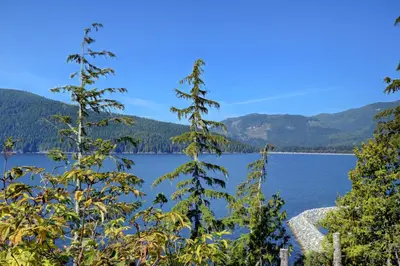 a view of a lake through the trees at Newfie Seaside Retreat in Port Renfrew