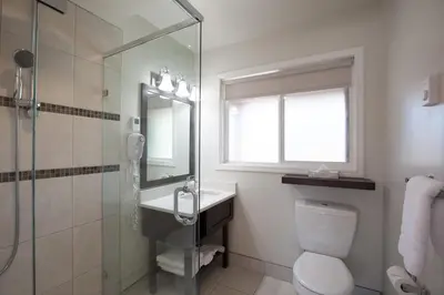 a bathroom with a shower and a toilet and a sink at Swiss Chalet Motel in Revelstoke