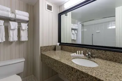 a bathroom with a sink and a mirror and a toilet at Ramada by Wyndham Northern Grand Hotel & Conference Centre in Fort Saint John