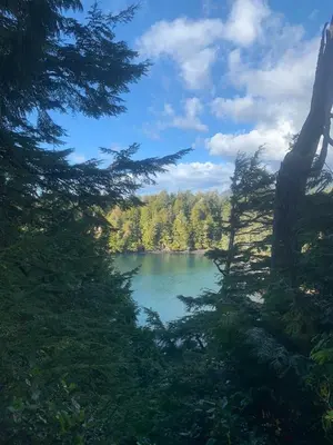 a view of a lake between two trees at Le Chalet Waterfront Retreat in Ucluelet
