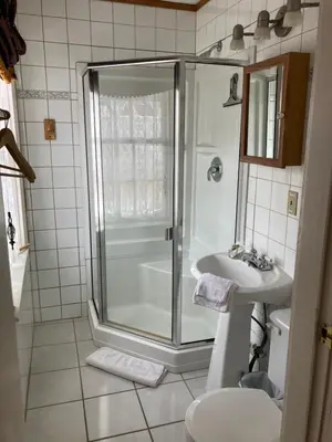 a bathroom with a shower and a sink at St. George Hotel in Barkerville