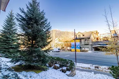 a christmas tree in a yard with snow on the ground at Lake Placid Lodge by Elevate Vacations in Whistler