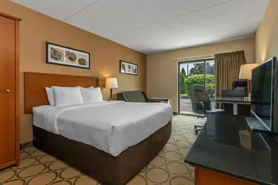 a hotel room with a bed and a television at Comfort Inn West in Edmonton
