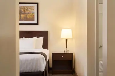 a bedroom with a bed and a lamp on a table at Travelodge by Wyndham Edmonton South in Edmonton