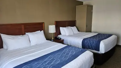 two beds in a hotel room next to each other at Comfort Inn in Chilliwack